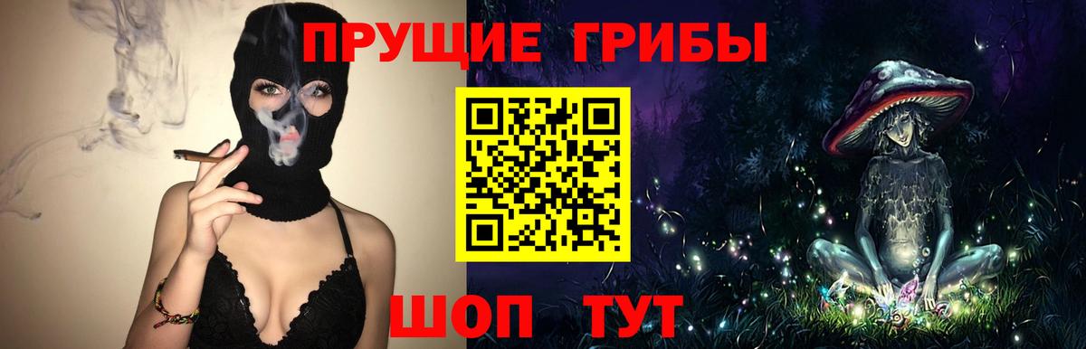 Псилоцибиновые грибы Psilocybine cubensis  Галлюциногенные грибы мицелий  Сосновый Бор  Вход с VPN 