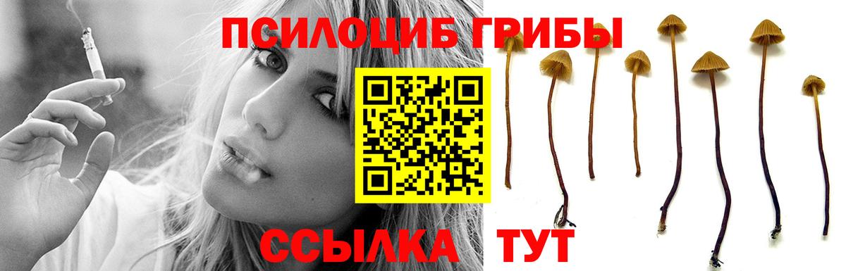 Галлюциногенные грибы ЛСД Сосновый Бор